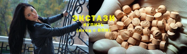 тгк Ельня