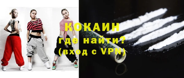 тгк Ельня