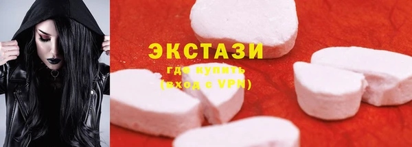 тгк Ельня