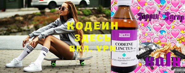 тгк Ельня