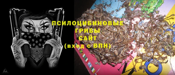тгк Ельня