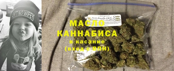 тгк Ельня