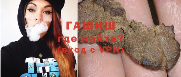 тгк Ельня