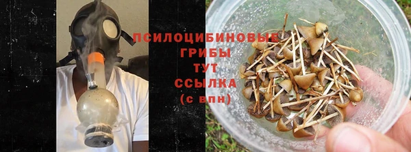 круглые Елизово