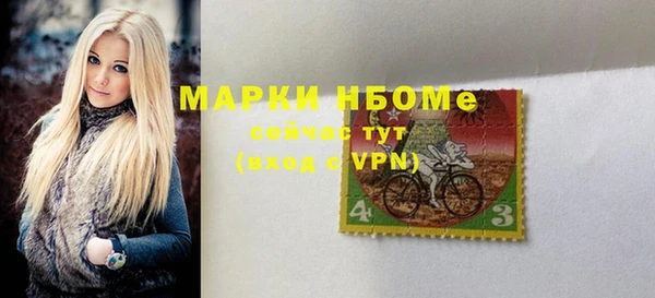 тгк Ельня