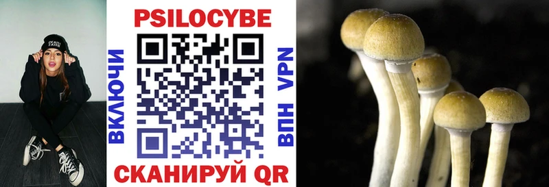 где найти наркотики Томари Псилоцибиновые грибы Psilocybine cubensis